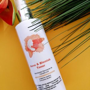 Acne & Blemish Toner: AHA-BHA-PHA - NIACINAMIDE 2%- MANDELIC ACID